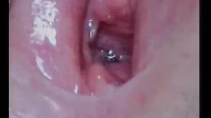காமம் 6 இலிருந்து லெபனான் 4 படிகள்